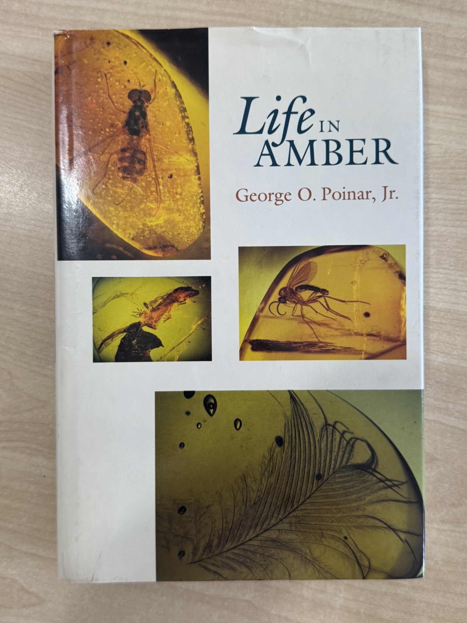 Life in Amber