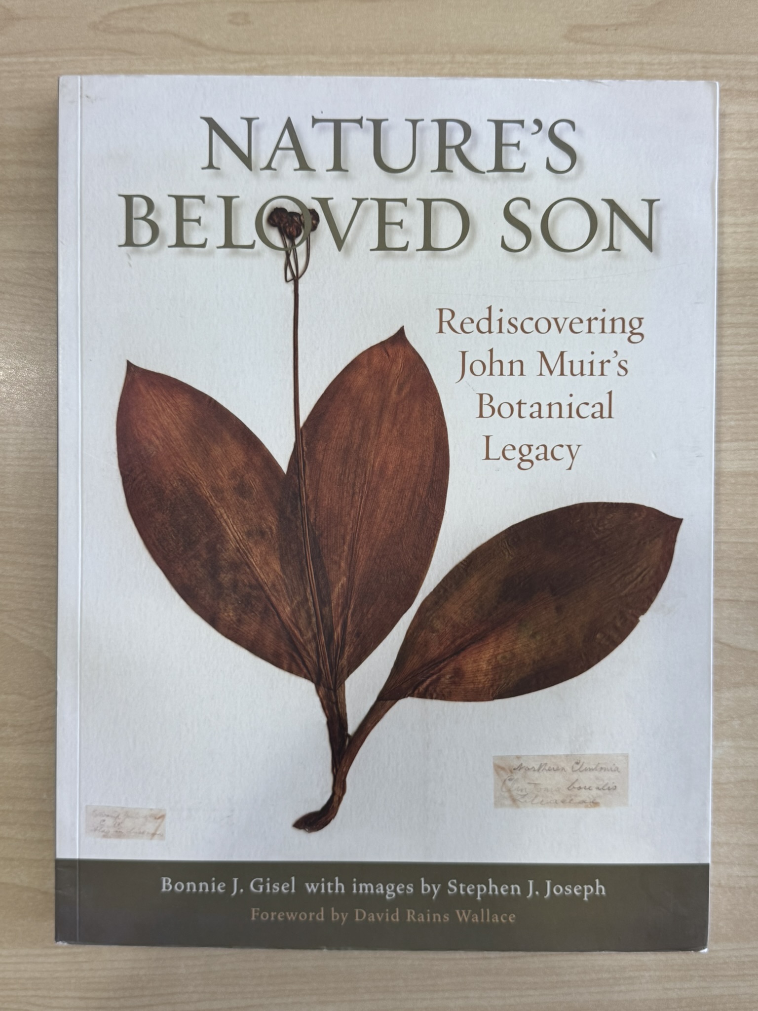 Nature's Beloved Son: Rediscovering John Muir's Botanical Legacy