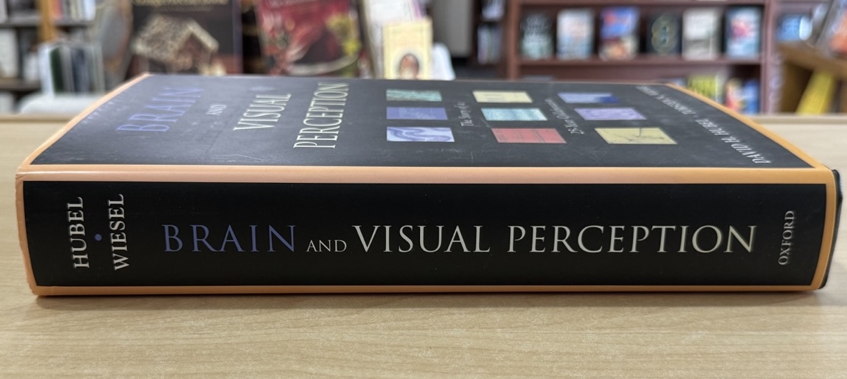 Brain and Visual Perception: The Story of a 25-Year Collaboration