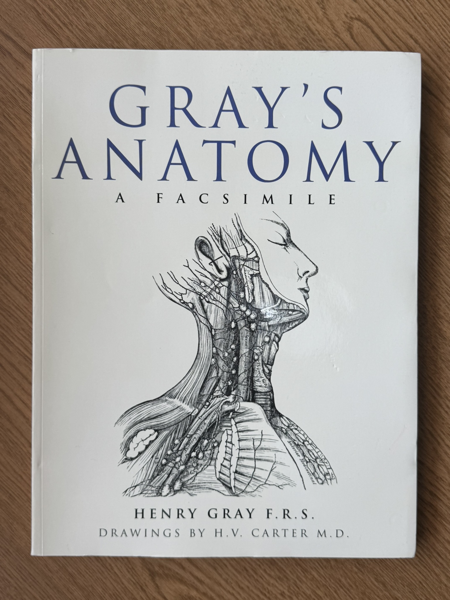 Grays Anatomy