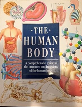 The Human Body: A Comprehensive Guide to the Structure and Functions of the Human Body