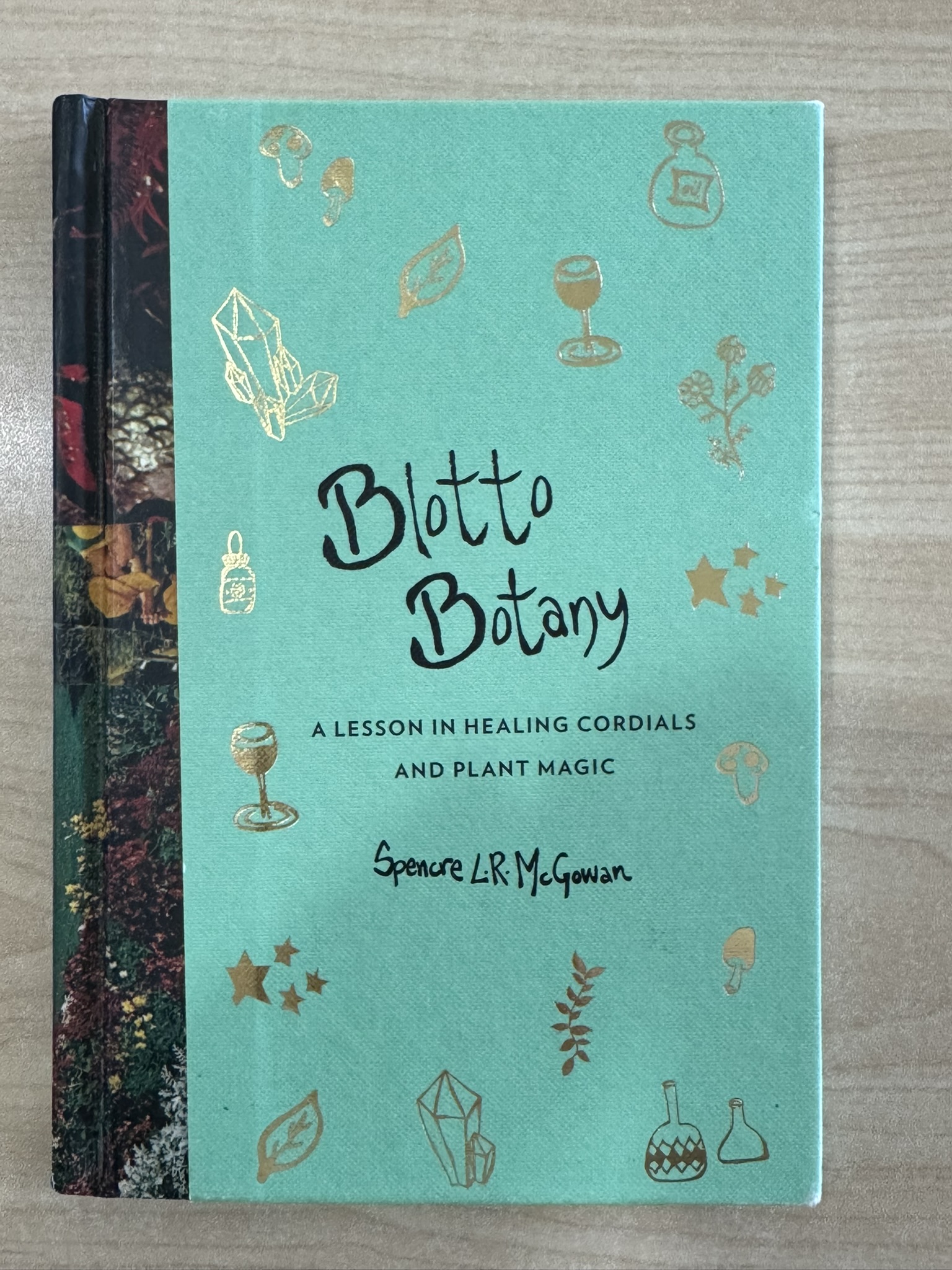 Blotto Botany: A Lesson in Healing Cordials and Plant Magic