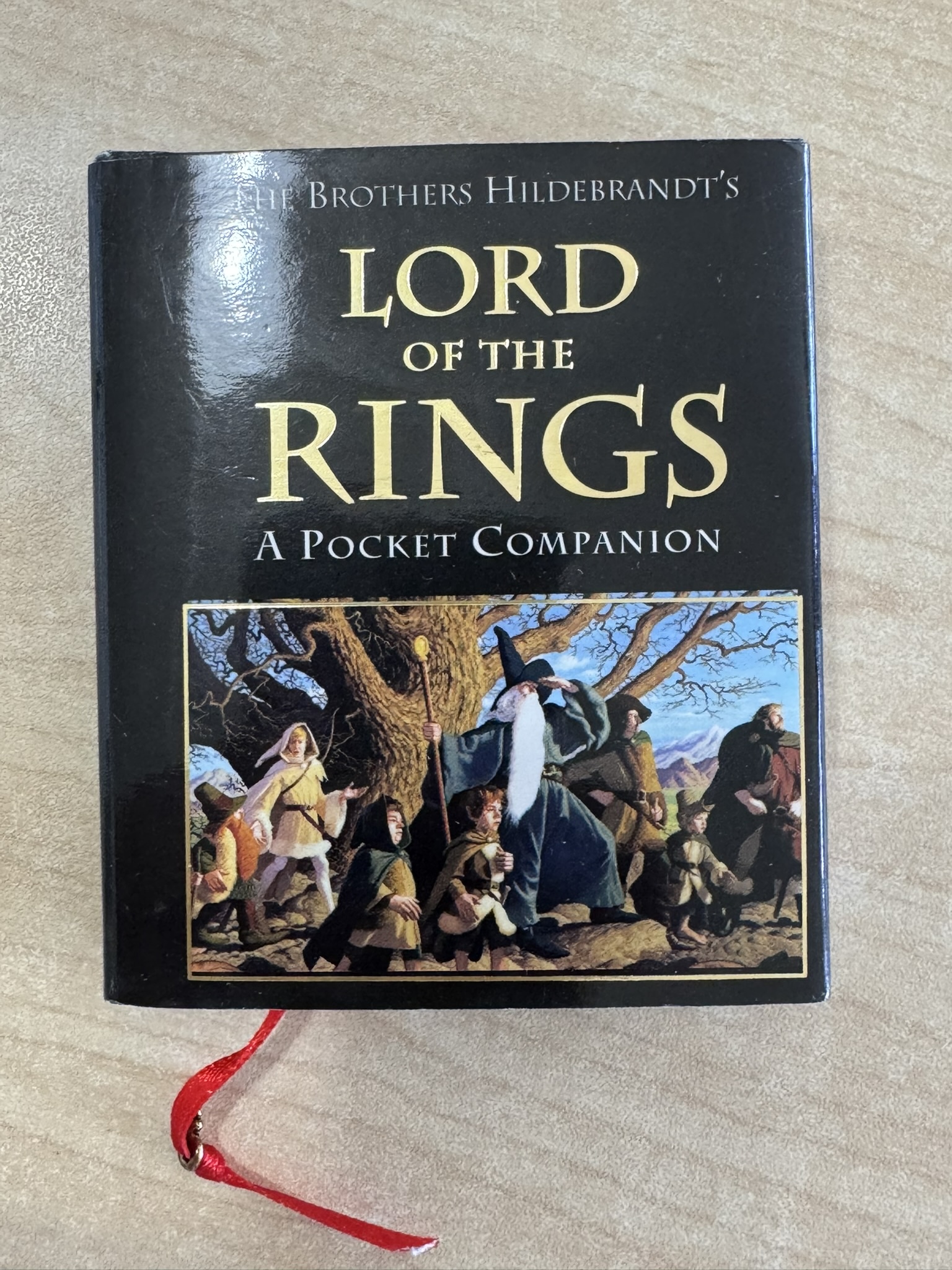 Brothers Hildebrandt's Lord of the: Rings a Pocket Companion