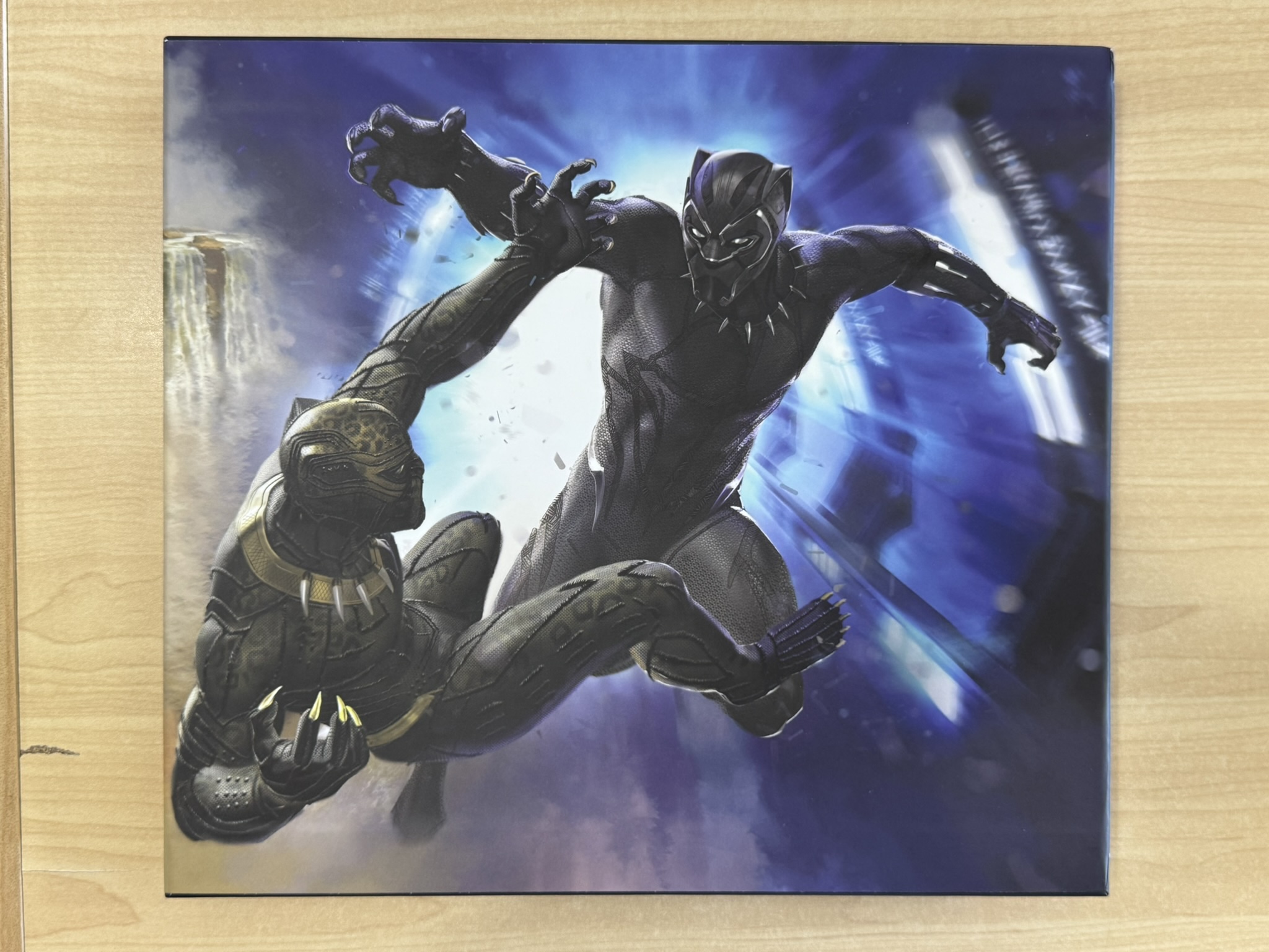 Marvel's Black Panther: The Art of the Movie