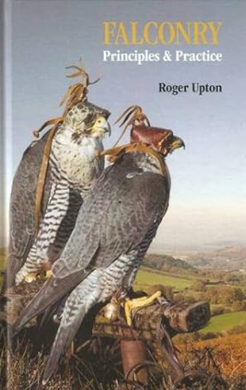 Falconry Principles and Practice