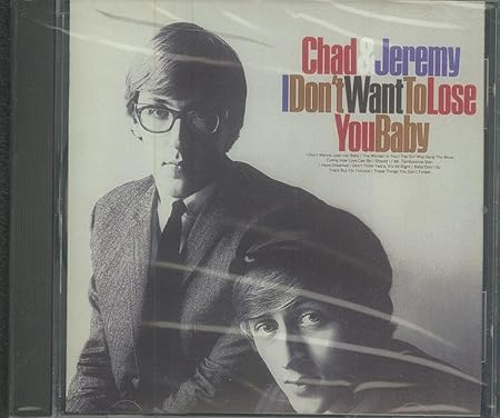 I Don't Want to Lose You Baby