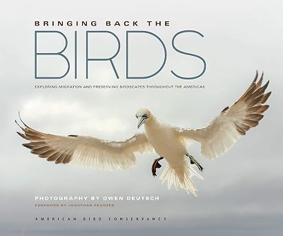 Bringing Back the Birds: Exploring Migration and Preserving Birdscapes Throughout the Americas